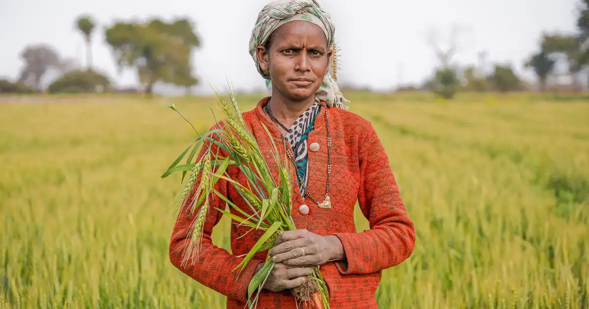 Weak Monsoon Unlikely to Hit India's Rural Demand; Select Exports Face War Risks